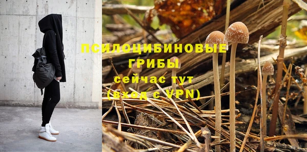таблы Алексин