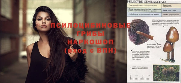 молекула духа Алзамай
