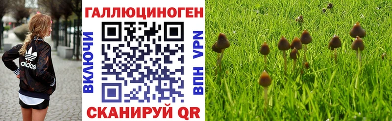 Галлюциногенные грибы мухоморы  Переславль-Залесский 