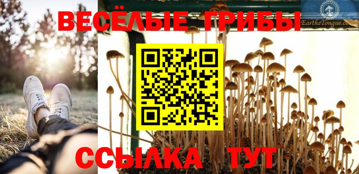 Галлюциногенные грибы прущие грибы Переславль-Залесский