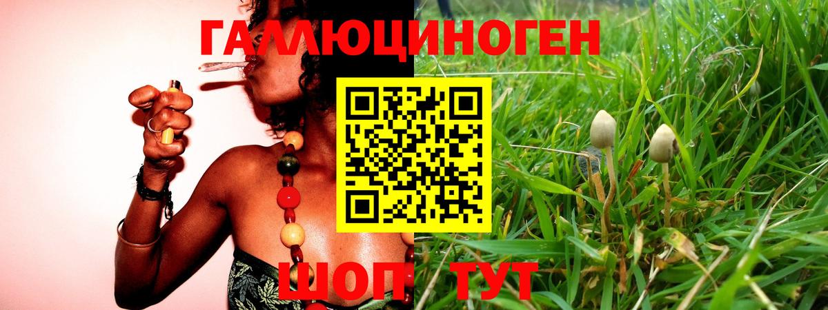 Галлюциногенные грибы ЛСД  Вход с VPN  Переславль-Залесский 